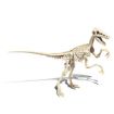 Immagine di ARCHEOGIOCANDO - VELOCIRAPTOR