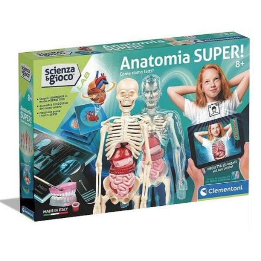 Immagine di Anatomia Super