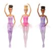 Immagine di Barbie Ballerina Ass3