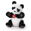 Immagine di Panda Kevin