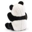 Immagine di Panda Kevin