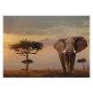 Immagine di Elefante del Masai Mara Ravensburger Puzzle - 1000 pezzi