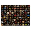 Immagine di 99 splendidi animali Ravensburger Puzzle - Foto & Paesaggi - 1000 pezzi