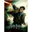 Immagine di Harry Potter Ravensburger Puzzle - 100 pezzi XXL