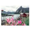 Immagine di Lofoten, Norvegia - 1000PZ