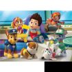 Immagine di PAW PATROL