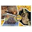 Immagine di NATIONAL GEOGRAPHIC KIDS - WILDLIFE ADVENTURE - 104PZ