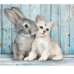 Immagine di 500 PZ CAT BUNNY