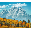 Immagine di 500PZ - GRAND TETON IN FALL