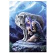 Immagine di Anne Stokes - Protector - 1000 Pz