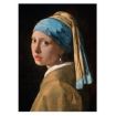 Immagine di VERMEER - GIRL WITH A PEARL EARRING - 1000PZ