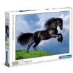 Immagine di FRESIAN BLACK HORSE - 500PZ