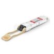 Immagine di QSFP-4X10G-SR - 40 Gigabit to 4 x 10 Gigabit Multifiber Push-On MPO) fiber splitter transceiver