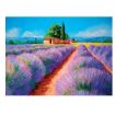 Immagine di LAVENDER SCENT - 500PZ