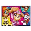 Immagine di Paw Patrol Movie - 2x21pz