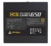 Immagine di HCG 650W GOLD