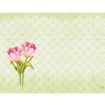 Immagine di TOVAGLIETTA DUNICEL ® 30 x 40 cm - LoveTulips