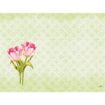 Immagine di TOVAGLIETTA DUNICEL ® 30 x 40 cm - LoveTulips