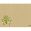 Immagine di TOVAGLIETTA CELLULOSA A BASE D'ERBA ® 30 x 40 cm - Veggies