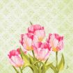 Immagine di TOVAGLIOLI CELLULOSA 3 VELI - 40x40 - LoveTulips