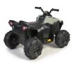 Immagine di FEBER - Quad Boxer 12V