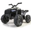 Immagine di FEBER - Quad Boxer 12V