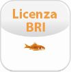 Immagine di Licenza per un'interfaccia BRI