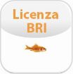 Immagine di Licenza per un'interfaccia BRI