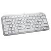 Immagine di MX KEYS MINI GREY FOR MAC