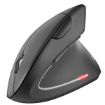 Immagine di Mouse ergonomico wirless Nilox