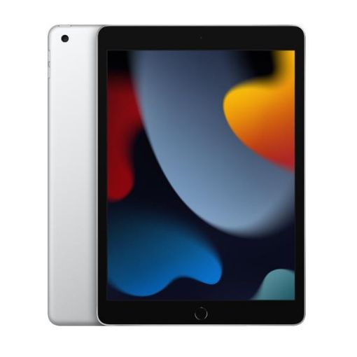 Immagine di 10.2-inch iPad Wi-Fi 256GB - Silver