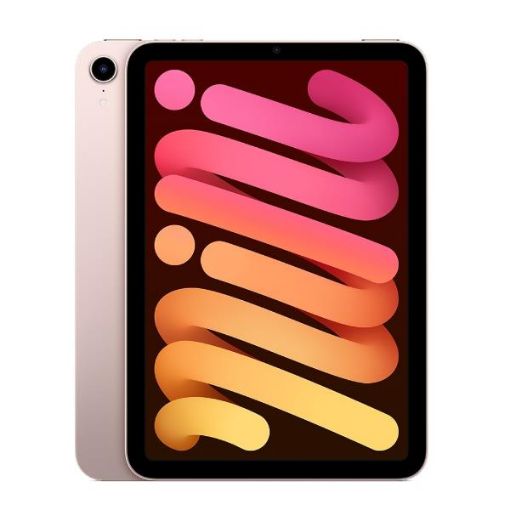 Immagine di iPad mini Wi-Fi 256GB - Pink