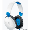 Immagine di Ps4 Recon 70P White