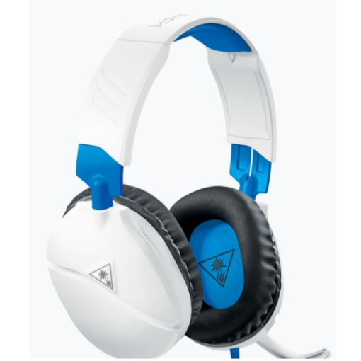 Immagine di Ps4 Recon 70P White