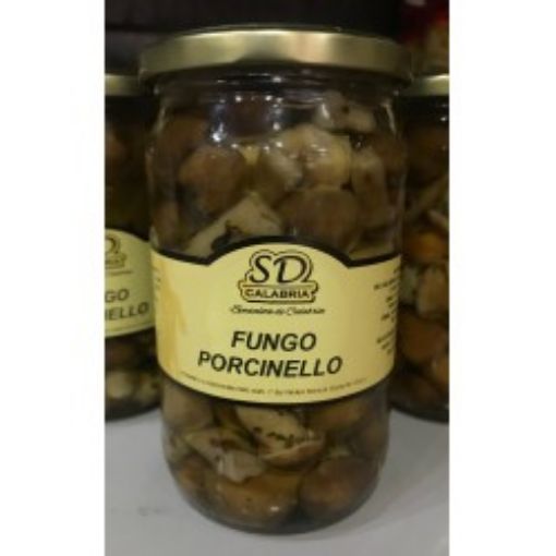 Immagine di Funghi porcinelli 