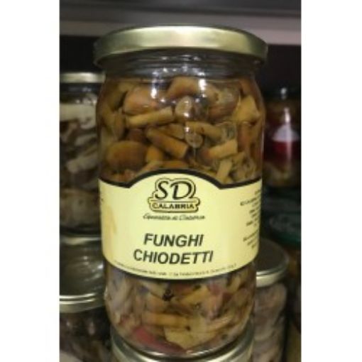 Immagine di Funghi Chiodetti 