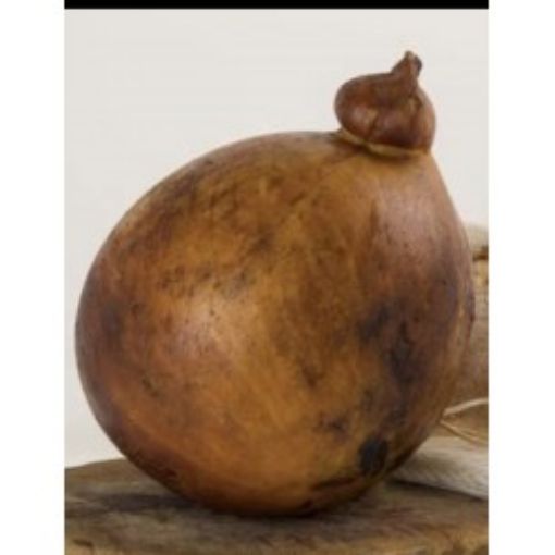 Immagine di Caciocavallo affumicato 2,2kg